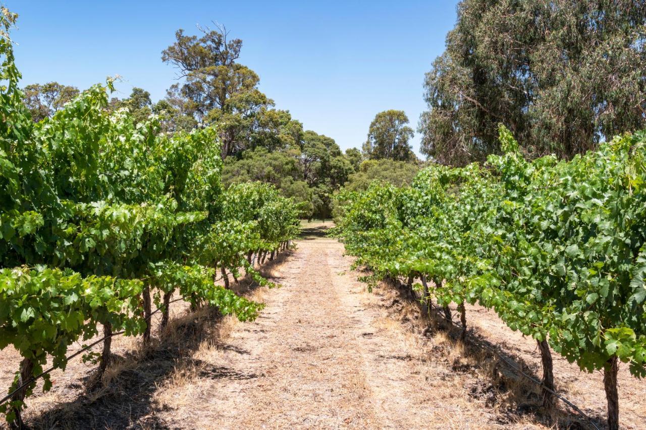 Island Brook Estate Vineyard And Chalets Yelverton 外观 照片