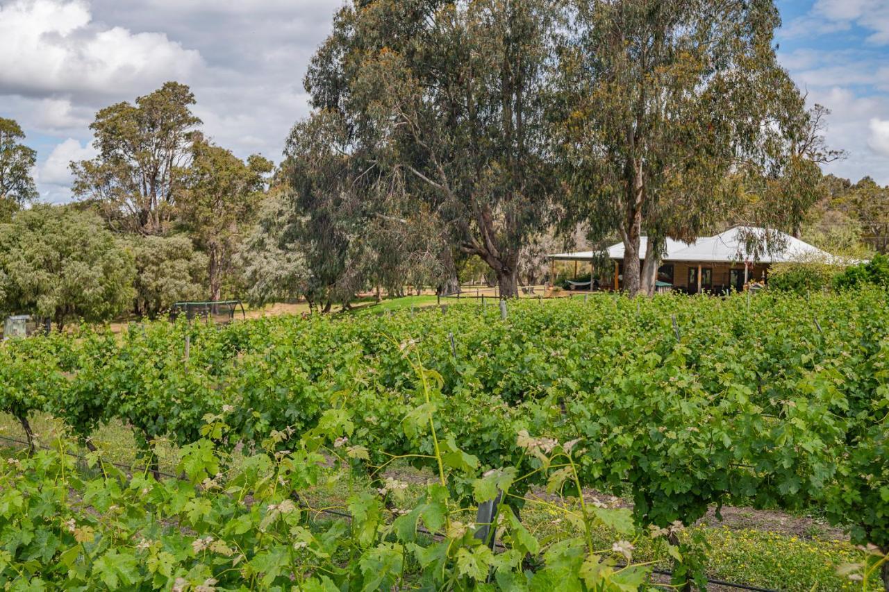 Island Brook Estate Vineyard And Chalets Yelverton 外观 照片